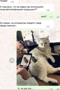 53275.webp