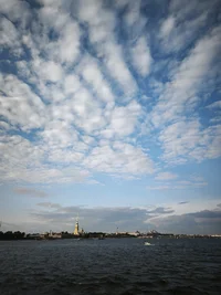 53346.webp