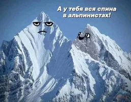 53385.webp