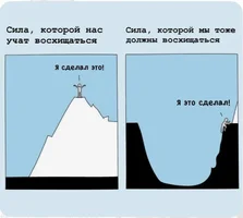 53384.webp