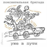 53443.webp