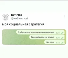 53311.webp