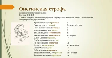 1000006383.webp