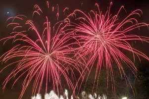 290003.webp