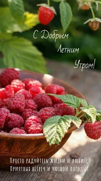 53764.webp