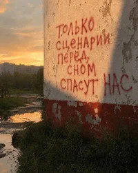 53761.webp
