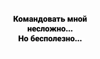 53118.webp