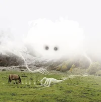 3bc1ff721ca3a4a1fd4cd7800f619a39.webp
