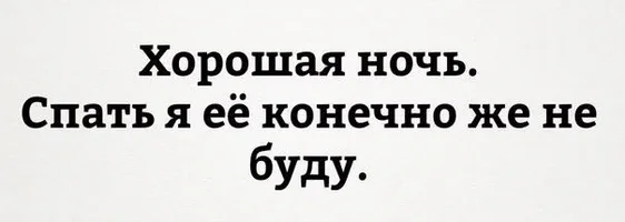 53843.webp