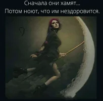 53860.webp
