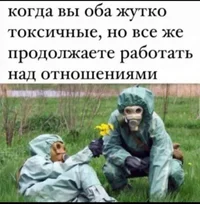 53861.webp