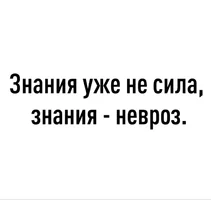 53856.webp