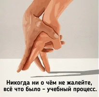 53885.webp