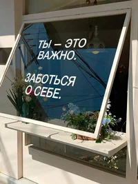 53973.webp