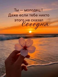 bcf4155b852f73f2d0a4b172f359553f.webp