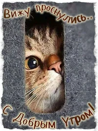 c93807fbfe26863b8c7bc4cb93fa05bc.webp