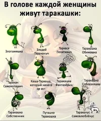 57edc31e08abdb7eac30f3b2888b76d6.webp