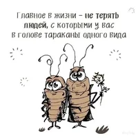 c1eedf12769b7b1a5b3bd0d4bc520085.webp