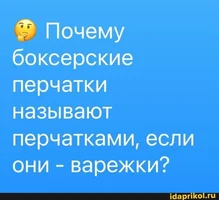 6.webp