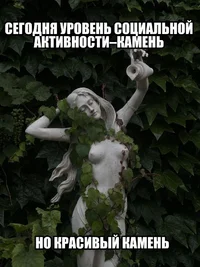 54492.webp