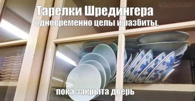 54516.webp