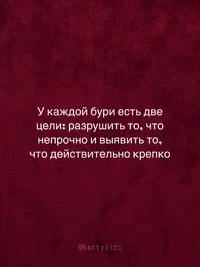 54381.webp