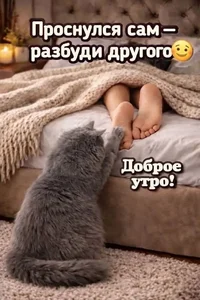 37777c3fef056bff9e4391146e672c47.webp