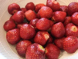 54553.webp
