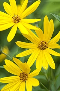 _DSC8925.webp
