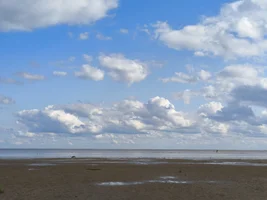 54612.webp