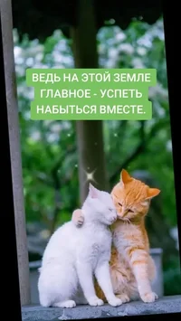 43fb26ee420139f998078231ef90e3cc38315bd508df7c2d92de4397f2e4d5ec_1.webp