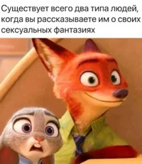 54775.webp