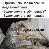 54810.webp