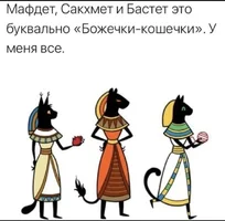 54873.webp
