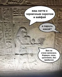 54872.webp