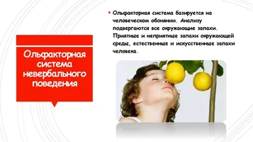 55081.webp 55081.webp