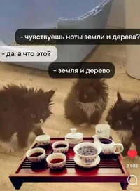 URuDfHzFXhkuAnpEiIKdvAmkoJXt-4kpDxi-_NJXcBShok0FTnuh1arCHAEkYdv5p77OCpQeAlXhwjgE6Az9AA4J.webp