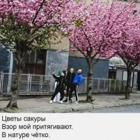 OBjr3rqFuBKUfZ257LFmPokXJTvginsa0ofhzUHpNAJv9_0o94U8PRXsGLJUiS-rn3qUNA-dP8Hyz8O7TBo6nnmy.webp