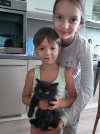 img_1_1786655318610.webp