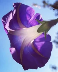 GeDd.webp