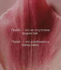 55407.webp 55407.webp