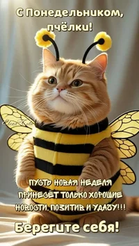 77742a5a2f0baeccc2c8662291fcb7f5.webp