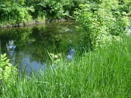 DSC02608.webp
