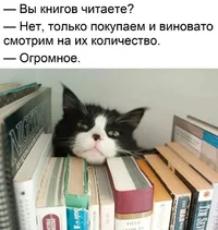 55560.webp 55560.webp