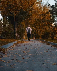 всем пока.webp