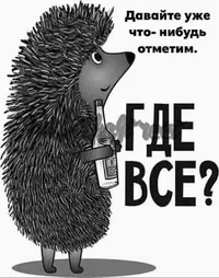 3506b787c2a7bce9af90fcdd845e51e4.webp