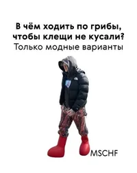 images (2).webp