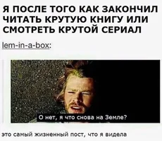 55565.webp