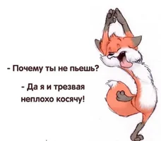 bbed93c35fcfda49d41d772065a70177.webp
