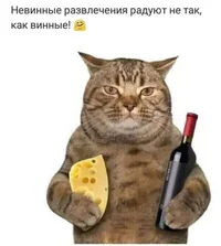 1787822151674.webp 1787822151674.webp